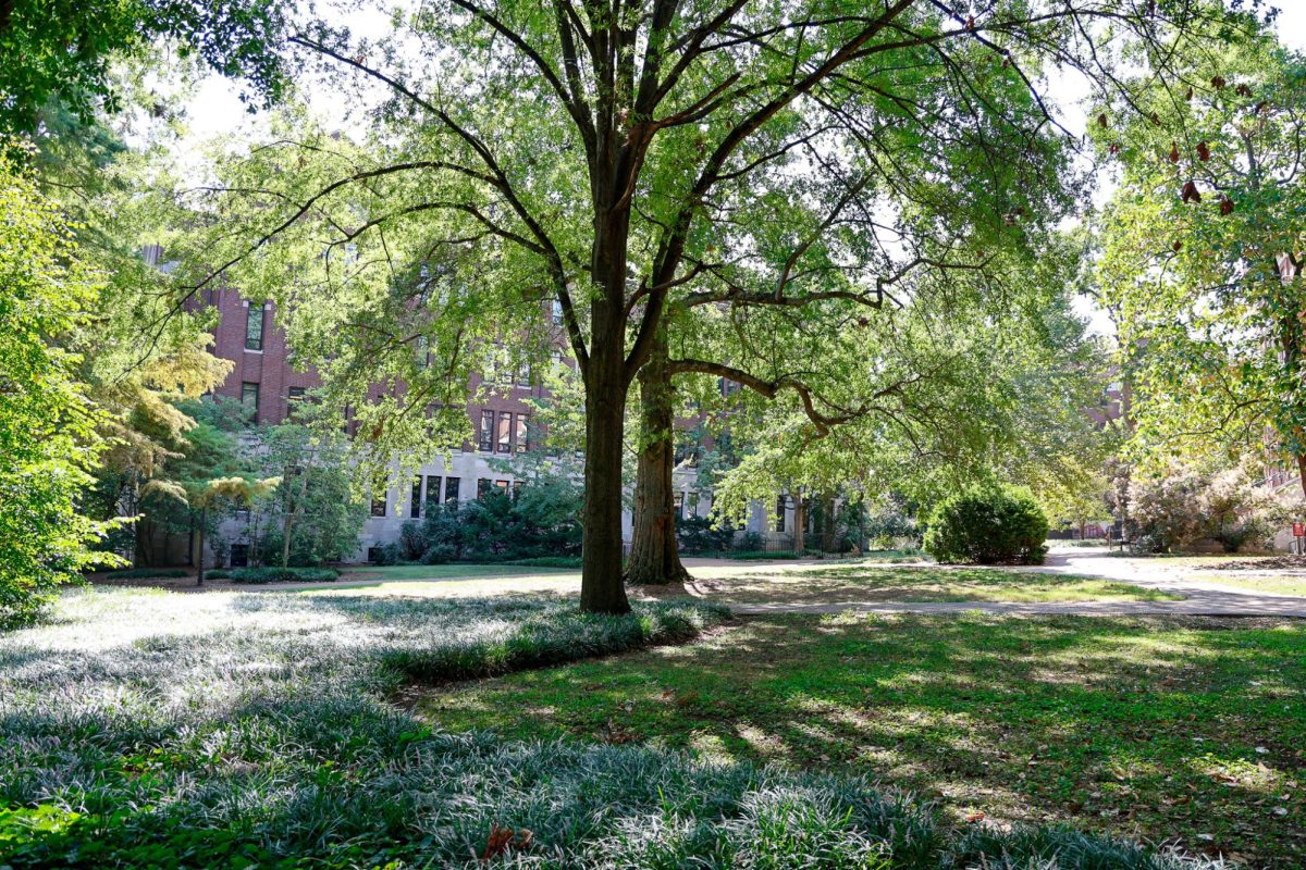 Campus greenery on a sunny day, as photographed on Aug. 25, 2024. (Hustler Multimedia/Alondra Moya)