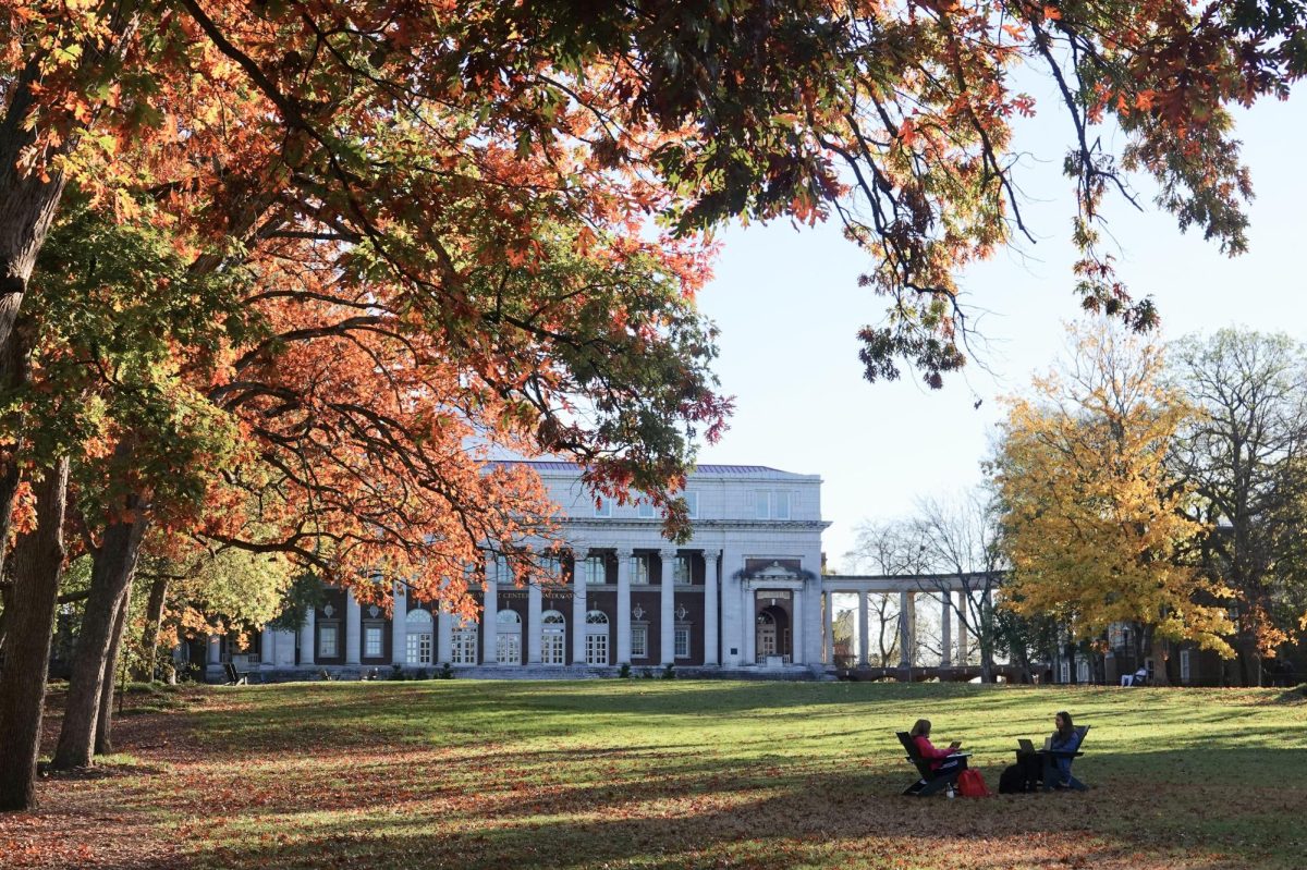 Peabody Lawn in the fall, as photographed on Nov. 25, 2024 (Hustler Multimedia/Alessandra Salvini). 
